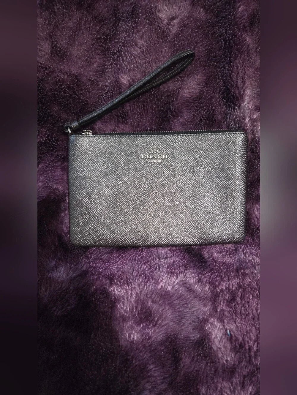 Coach Metallic Large Corner Zip Wristlet